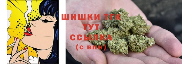 крисы Медвежьегорск