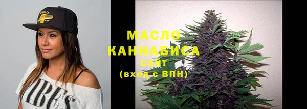 шишки Арсеньев