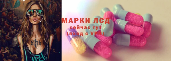 крисы Медвежьегорск