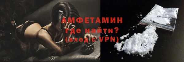 стаф Магас