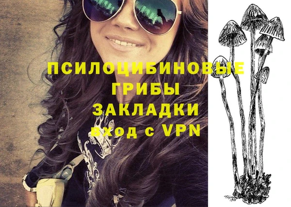 крисы Медвежьегорск
