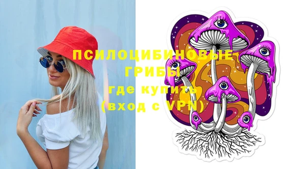 крисы Медвежьегорск