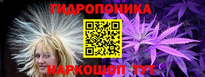 spice Кандалакша