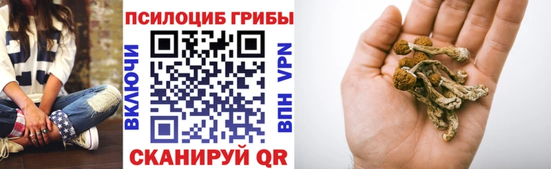 Псилоцибиновые грибы прущие грибы  Октябрьский 