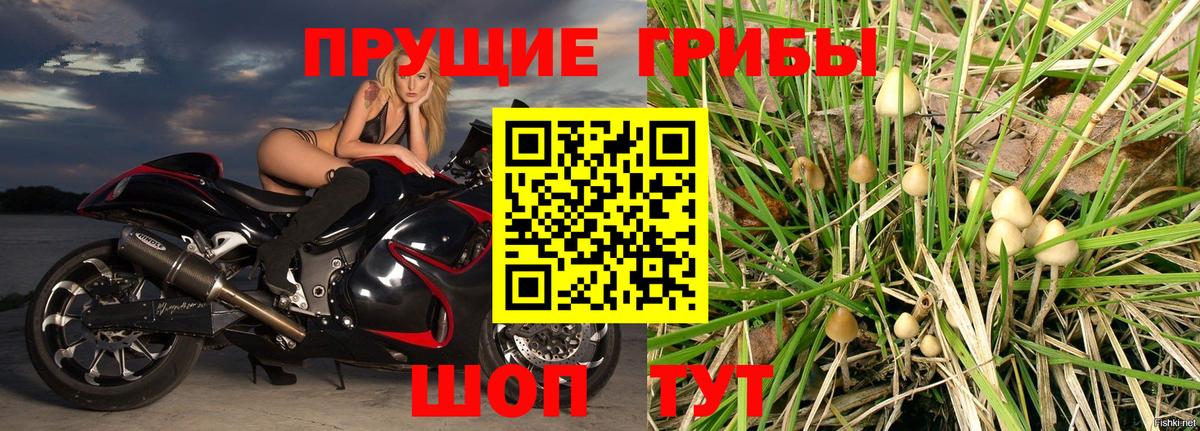 цена наркотик  Вход с VPN  Октябрьский  Псилоцибиновые грибы Magic Shrooms  Галлюциногенные грибы Magic Shrooms 