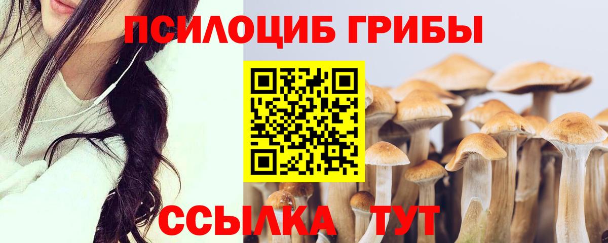 Псилоцибиновые грибы Cubensis Октябрьский